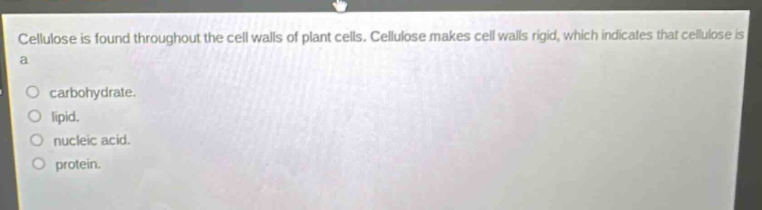 cellulose is found throughout the cell walls of plant cells. cellulose makes cell walls rigid, which indicates that cellulose is a carbohydrate. lipid. nucleic acid. protein.