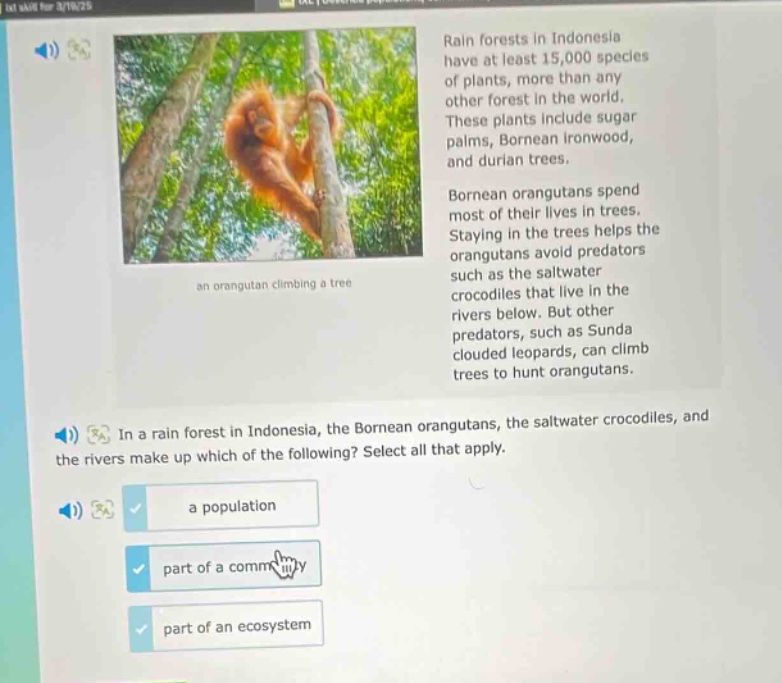 rain forests in indonesia have at least 15,000 species of plants, more than any other forest in the world. these plants include sugar palms, bornean ironwood, and durian trees. bornean orangutans spend most of their lives in trees. staying in the trees helps the orangutans avoid predators such as the saltwater crocodiles that live in the rivers below. but other predators, such as sunda clouded leopards, can climb trees to hunt orangutans. in a rain forest in indonesia, the bornean orangutans, the saltwater crocodiles, and the rivers make up which of the following? select all that apply. a population part of a community part of an ecosystem