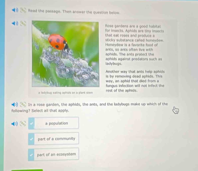 read the passage. then answer the question below. rose gardens are a good habitat for insects. aphids are tiny insects that eat roses and produce a sticky substance called honeydew. honeydew is a favorite food of ants, so ants often live with aphids. the ants protect the aphids against predators such as ladybugs. another way that ants help aphids is by removing dead aphids. this way, an aphid that died from a fungus infection will not infect the rest of the aphids. in a rose garden, the aphids, the ants, and the ladybugs make up which of the following? select all that apply. a population part of a community part of an ecosystem