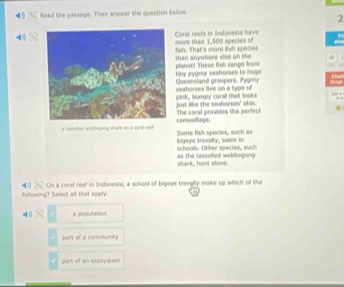 read the passage. then answer the question below. coral reefs in indonesia have more than 1,500 species of fish. thats more fish species than anywhere else on the planet! these fish range from tiny pygmy seahorses to huge queensland groupers. pygmy seahorses live on a type of pink, bumpy coral that looks just like the seahorses skin. the coral provides the perfect camouflage. some fish species, such as bigeye trevally, swim in schools. other species, such as the tasselled wobbegong shark, hunt alone. on a coral reef in indonesia, a school of bigeye trevally make up which of the following? select all that apply. a population part of a community part of an ecosystem