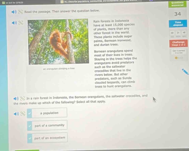 read the passage. then answer the question below. rain forests in indonesia have at least 15,000 species of plants, more than any other forest in the world. these plants include sugar palms, bornean ironwood, and durian trees. bornean orangutans spend most of their lives in trees. staying in the trees helps the orangutans avoid predators such as the saltwater crocodiles that live in the rivers below. but other predators, such as sunda clouded leopards, can climb trees to hunt orangutans. in a rain forest in indonesia, the bornean orangutans, the saltwater crocodiles, and the rivers make up which of the following? select all that apply. a population part of a community part of an ecosystem