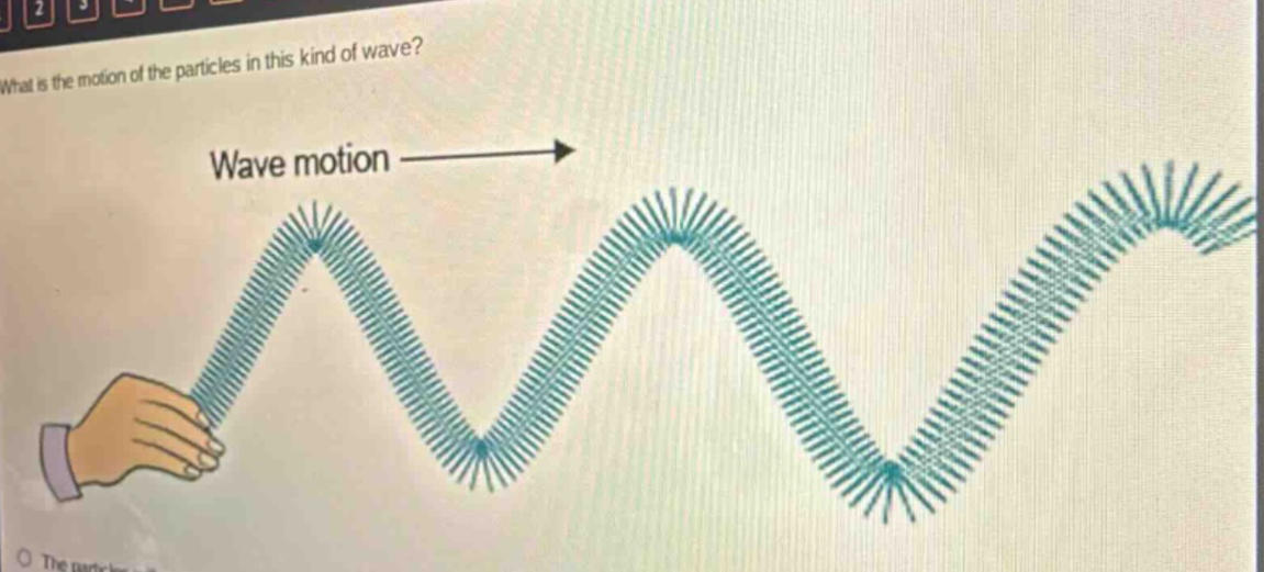 what is the motion of the particles in this kind of wave? wave motion