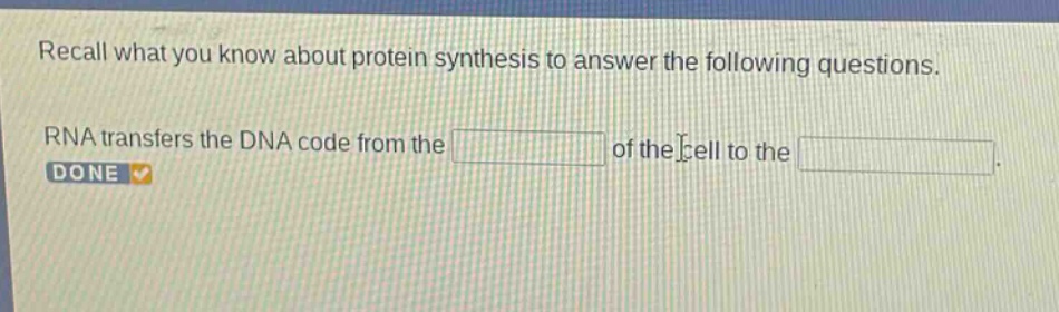 recall what you know about protein synthesis to answer the following questions. rna transfers the dna code from the of the cell to the