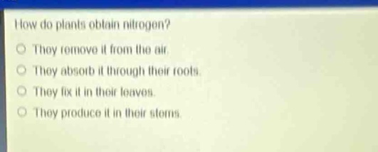 how do plants obtain nitrogen?\nthey remove it from the air.\nthey absorb it through their roots.\nthey fix it in their leaves.\nthey produce it in their stems.