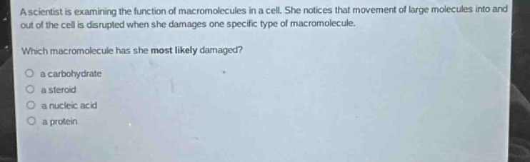 a scientist is examining the function of macromolecules in a cell. she notices that movement of large molecules into and out of the cell is disrupted when she damages one specific type of macromolecule. which macromolecule has she most likely damaged? a carbohydrate a steroid a nucleic acid a protein