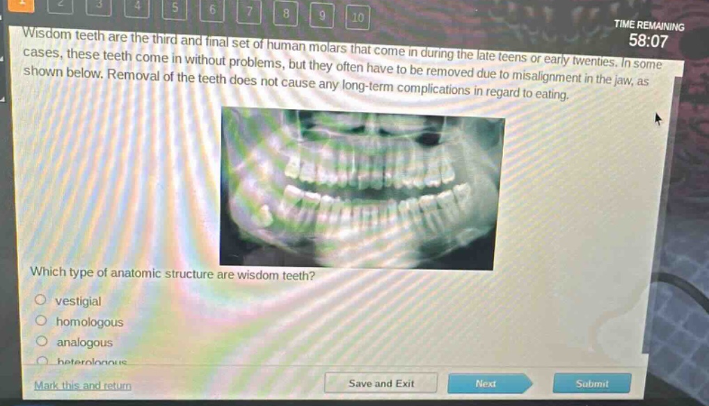 wisdom teeth are the third and final set of human molars that come in during the late teens or early twenties. in some cases, these teeth come in without problems, but they often have to be removed due to misalignment in the jaw, as shown below. removal of the teeth does not cause any long - term complications in regard to eating. which type of anatomic structure are wisdom teeth? vestigial homologous analogous heterologous mark this and return save and exit next submit