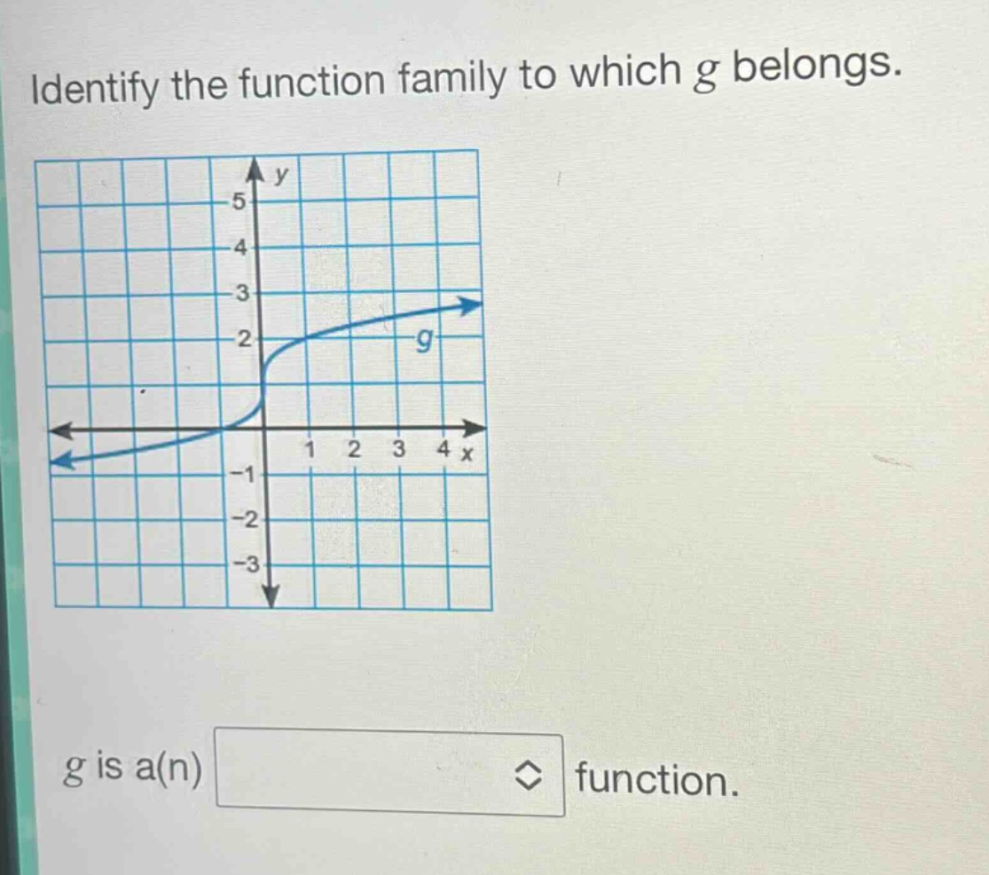 identify the function family to which g belongs. g is a(n) function.