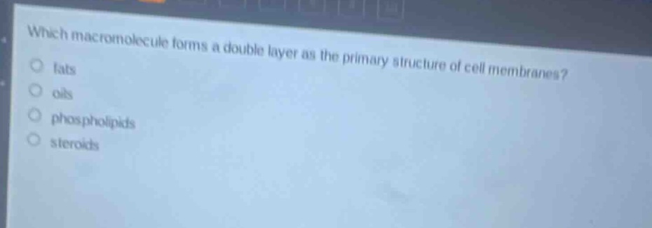 which macromolecule forms a double layer as the primary structure of cell membranes?\n fats\n oils\n phospholipids\n steroids