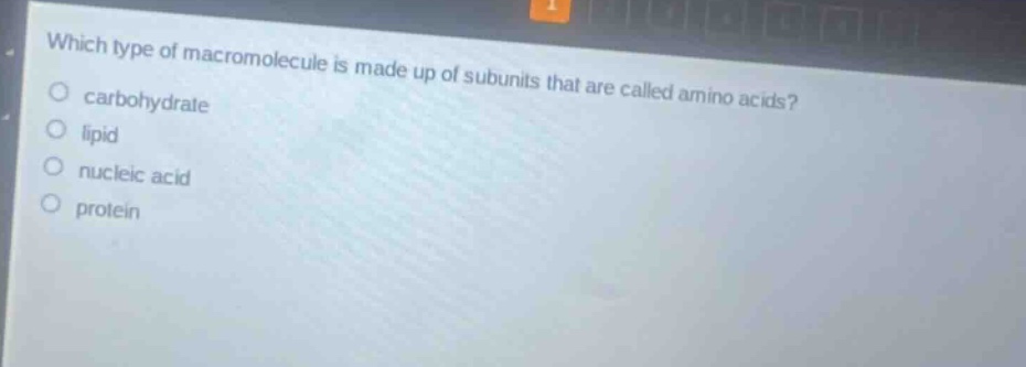 which type of macromolecule is made up of subunits that are called amino acids? carbohydrate lipid nucleic acid protein