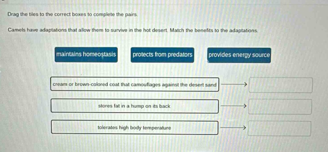 drag the tiles to the correct boxes to complete the pairs. camels have adaptations that allow them to survive in the hot desert. match the benefits to the adaptations. maintains homeostasis protects from predators provides energy source cream or brown - colored coat that camouflages against the desert sand stores fat in a hump on its back tolerates high body temperature