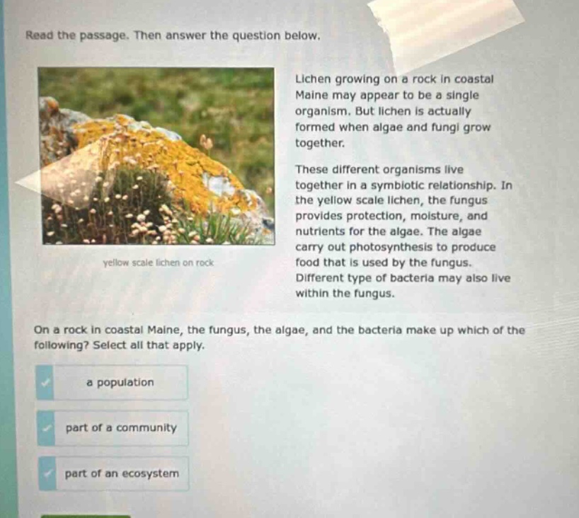 read the passage. then answer the question below. lichen growing on a rock in coastal maine may appear to be a single organism. but lichen is actually formed when algae and fungi grow together. these different organisms live together in a symbiotic relationship. in the yellow scale lichen, the fungus provides protection, moisture, and nutrients for the algae. the algae carry out photosynthesis to produce food that is used by the fungus. different type of bacteria may also live within the fungus. on a rock in coastal maine, the fungus, the algae, and the bacteria make up which of the following? select all that apply. a population part of a community part of an ecosystem