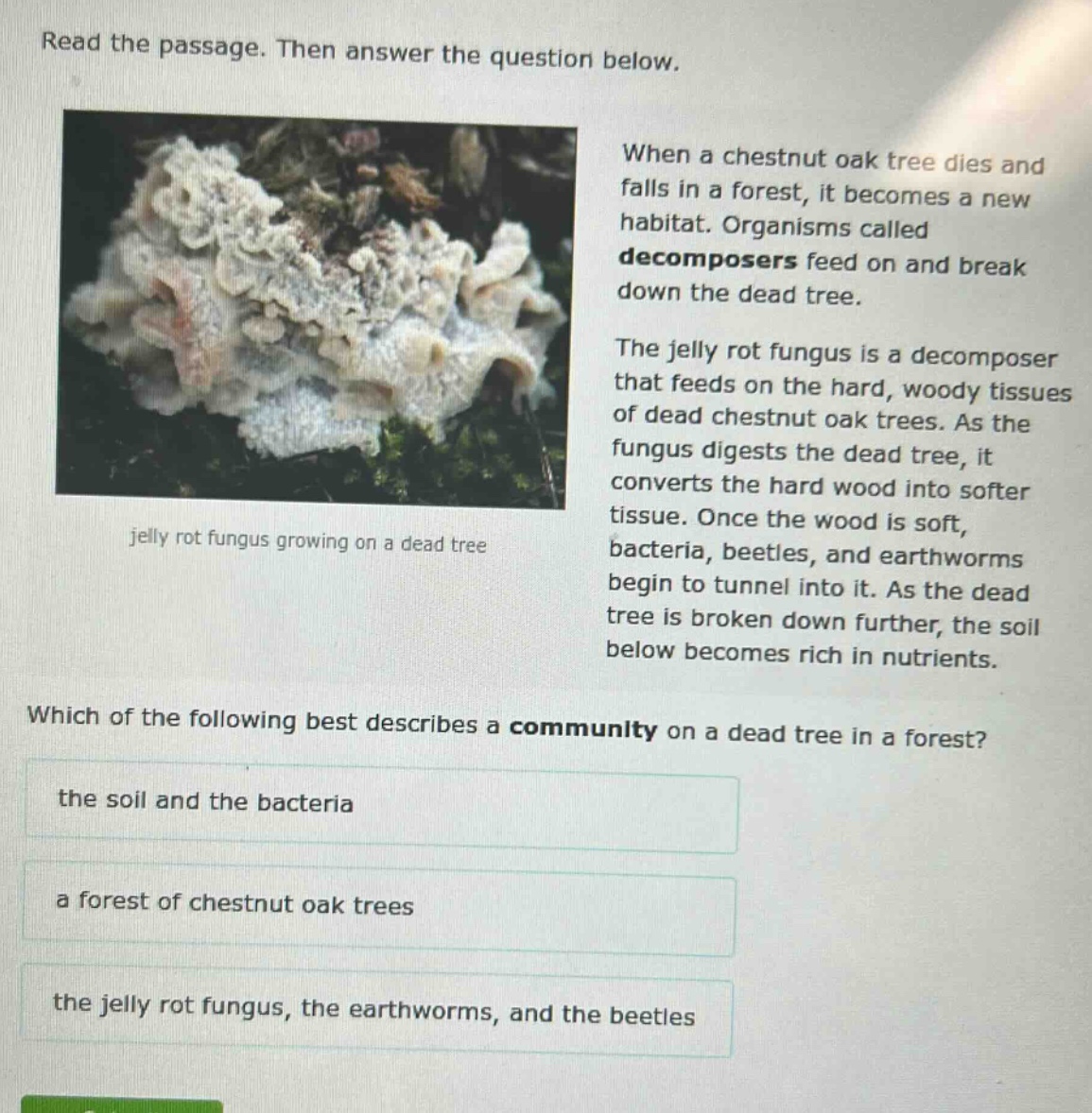 read the passage. then answer the question below. when a chestnut oak tree dies and falls in a forest, it becomes a new habitat. organisms called decomposers feed on and break down the dead tree. the jelly rot fungus is a decomposer that feeds on the hard, woody tissues of dead chestnut oak trees. as the fungus digests the dead tree, it converts the hard wood into softer tissue. once the wood is soft, bacteria, beetles, and earthworms begin to tunnel into it. as the dead tree is broken down further, the soil below becomes rich in nutrients. which of the following best describes a community on a dead tree in a forest? the soil and the bacteria a forest of chestnut oak trees the jelly rot fungus, the earthworms, and the beetles