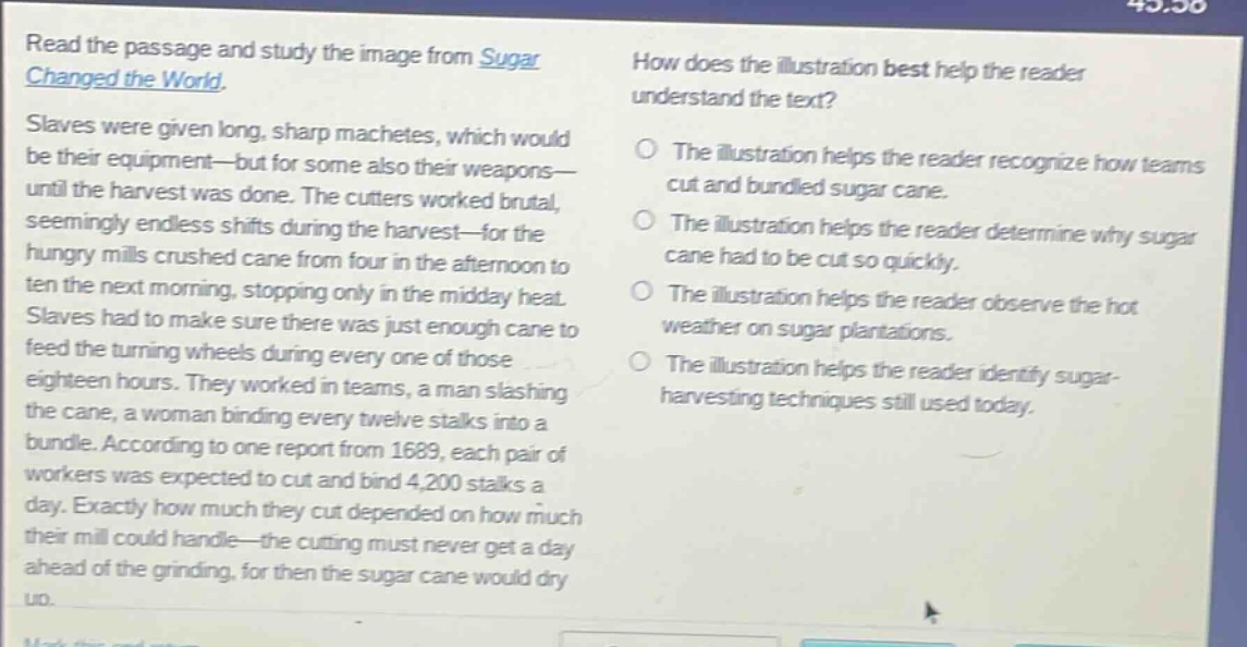 read the passage and study the image from sugar changed the world. slaves were given long, sharp machetes, which would be their equipment—but for some also their weapons—until the harvest was done. the cutters worked brutal, seemingly endless shifts during the harvest—for the hungry mills crushed cane from four in the afternoon to ten the next morning, stopping only in the midday heat. slaves had to make sure there was just enough cane to feed the turning wheels during every one of those eighteen hours. they worked in teams, a man slashing the cane, a woman binding every twelve stalks into a bundle. according to one report from 1689, each pair of workers was expected to cut and bind 4,200 stalks a day. exactly how much they cut depended on how much their mill could handle—the cutting must never get a day ahead of the grinding, for then the sugar cane would dry up. how does the illustration best help the reader understand the text? the illustration helps the reader recognize how teams cut and bundled sugar cane. the illustration helps the reader determine why sugar cane had to be cut so quickly. the illustration helps the reader observe the hot weather on sugar plantations. the illustration helps the reader identify sugar - harvesting techniques still used today.