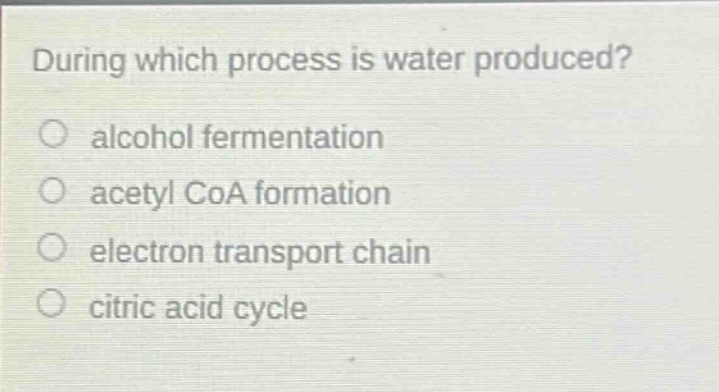during which process is water produced?\n alcohol fermentation\n acetyl coa formation\n electron transport chain\n citric acid cycle