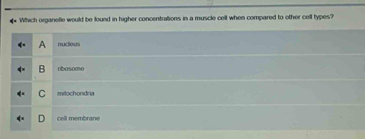 which organelle would be found in higher concentrations in a muscle cell when compared to other cell types? a nucleus b ribosome c mitochondria d cell membrane