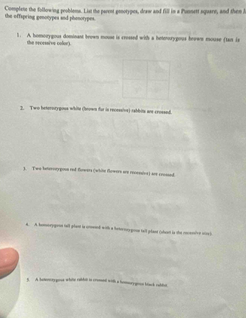 complete the following problems. list the parent genotypes, draw and fill in a punnett square, and then list the offspring genotypes and phenotypes.\n1. a homozygous dominant brown mouse is crossed with a heterozygous brown mouse (tan is the recessive color).\n2. two heterozygous white (brown fur is recessive) rabbits are crossed.\n3. two heterozygous red flowers (white flowers are recessive) are crossed.\n4. a homozygous tall plant is crossed with a heterozygous tall plant (short is the recessive size).\n5. a heterozygous white rabbit is crossed with a homozygous black rabbit.