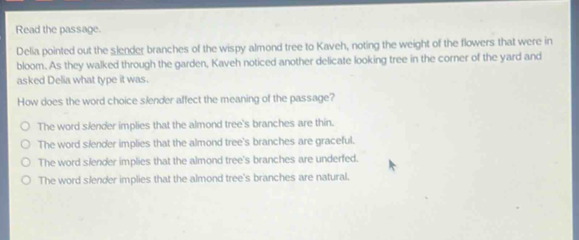 read the passage. delia pointed out the slender branches of the wispy almond tree to kaveh, noting the weight of the flowers that were in bloom. as they walked through the garden, kaveh noticed another delicate looking tree in the corner of the yard and asked delia what type it was. how does the word choice slender affect the meaning of the passage? the word slender implies that the almond trees branches are thin. the word slender implies that the almond trees branches are graceful. the word slender implies that the almond trees branches are underfed. the word slender implies that the almond trees branches are natural.