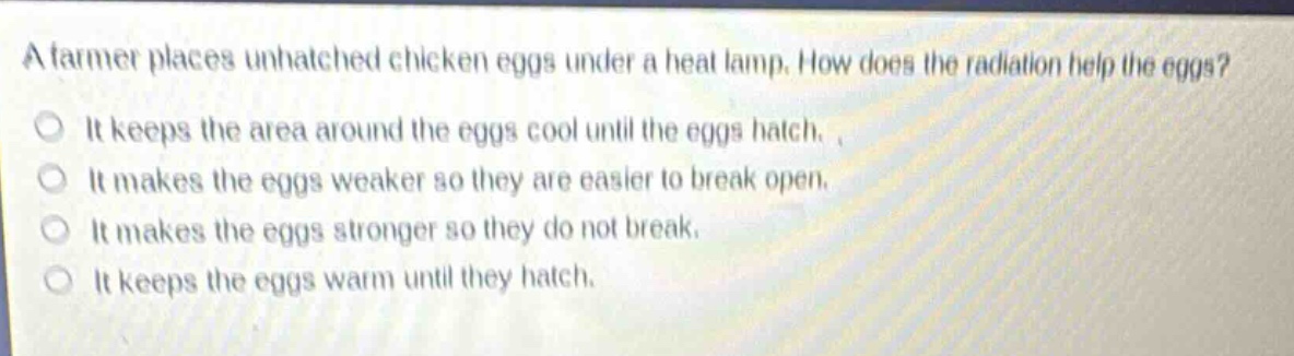 a farmer places unhatched chicken eggs under a heat lamp. how does the radiation help the eggs? it keeps the area around the eggs cool until the eggs hatch. it makes the eggs weaker so they are easier to break open. it makes the eggs stronger so they do not break. it keeps the eggs warm until they hatch.
