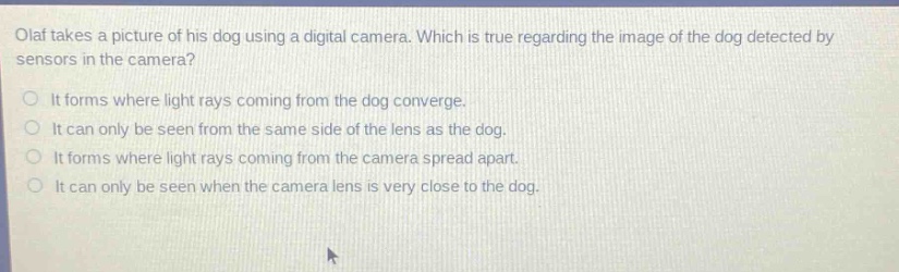 olaf takes a picture of his dog using a digital camera. which is true regarding the image of the dog detected by sensors in the camera? it forms where light rays coming from the dog converge. it can only be seen from the same side of the lens as the dog. it forms where light rays coming from the camera spread apart. it can only be seen when the camera lens is very close to the dog.