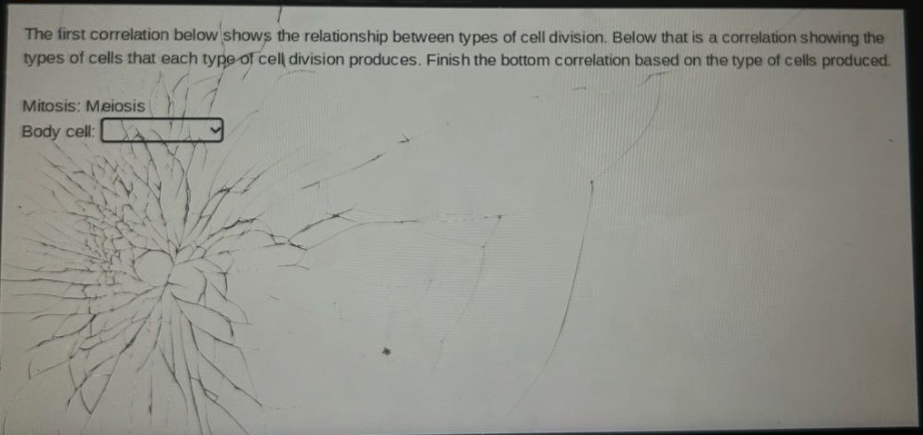 the first correlation below shows the relationship between types of cell division. below that is a correlation showing the types of cells that each type of cell division produces. finish the bottom correlation based on the type of cells produced. mitosis: meiosis body cell:
