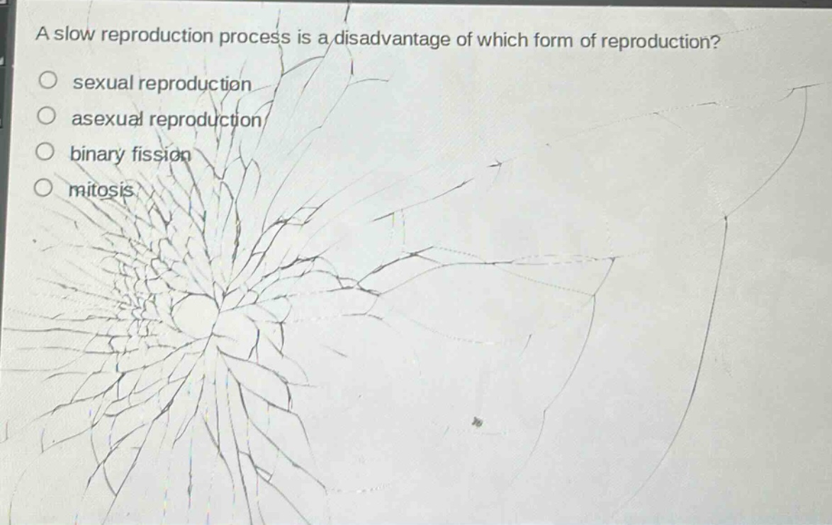 a slow reproduction process is a disadvantage of which form of reproduction?\nsexual reproduction\nasexual reproduction\nbinary fission\nmitosis