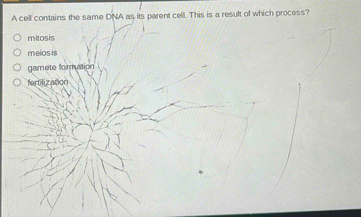 a cell contains the same dna as its parent cell. this is a result of which process?\nmitosis\nmeiosis\ngamete formation\nfertilization