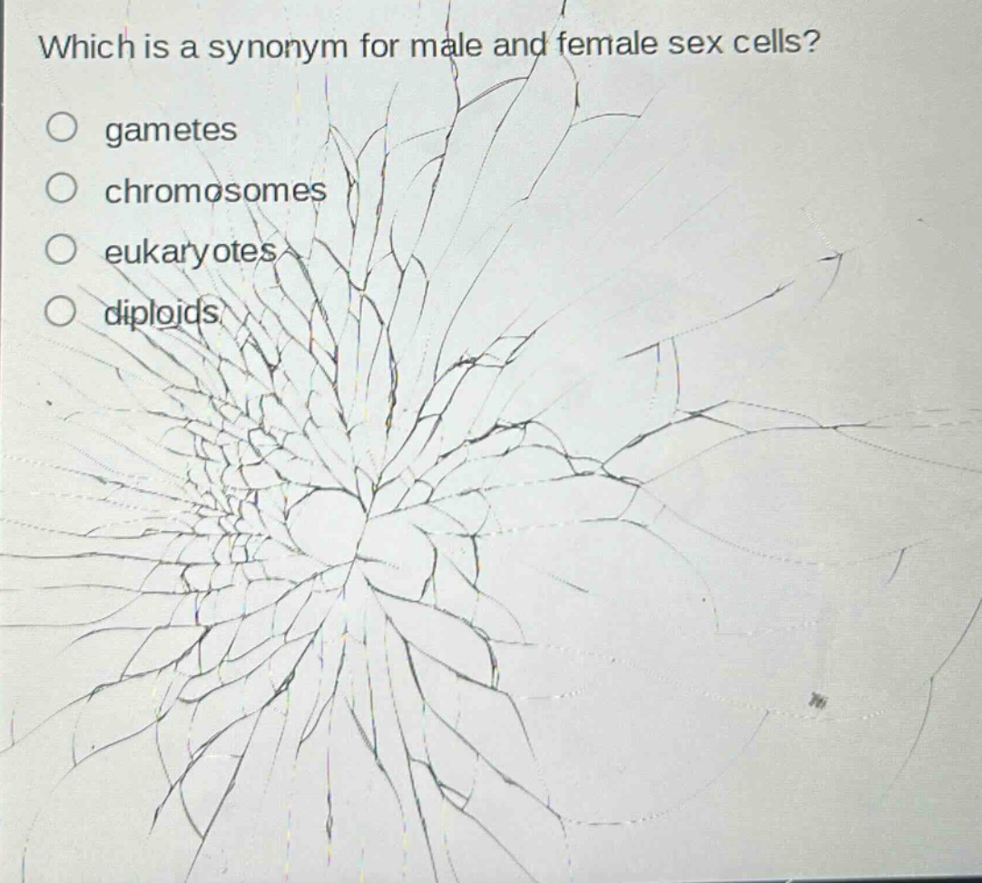 which is a synonym for male and female sex cells?\no gametes\no chromosomes\no eukaryotes\no diploids