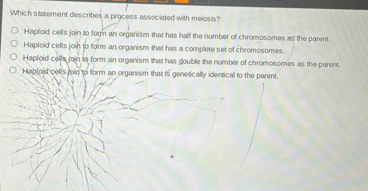 which statement describes a process associated with meiosis?\no haploid cells join to form an organism that has half the number of chromosomes as the parent.\no haploid cells join to form an organism that has a complete set of chromosomes.\no haploid cells join to form an organism that has double the number of chromosomes as the parent.\no haploid cells join to form an organism that is genetically identical to the parent.