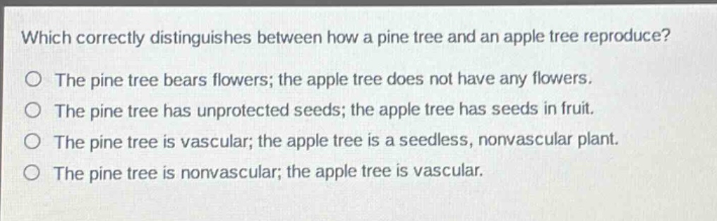 which correctly distinguishes between how a pine tree and an apple tree reproduce? the pine tree bears flowers; the apple tree does not have any flowers. the pine tree has unprotected seeds; the apple tree has seeds in fruit. the pine tree is vascular; the apple tree is a seedless, nonvascular plant. the pine tree is nonvascular; the apple tree is vascular.