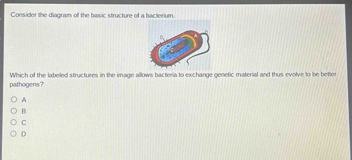 consider the diagram of the basic structure of a bacterium. which of the labeled structures in the image allows bacteria to exchange genetic material and thus evolve to be better pathogens? a b c d