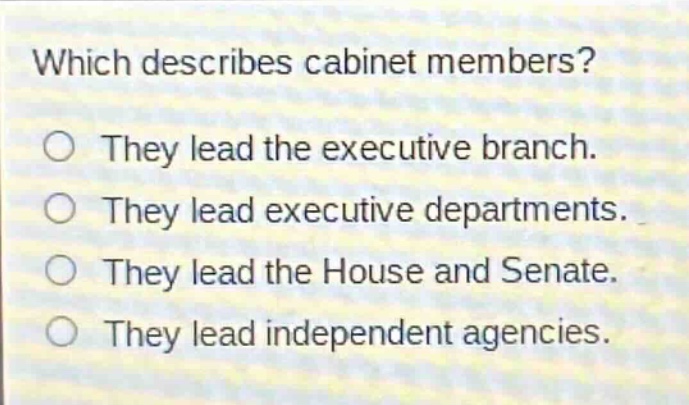 which describes cabinet members? they lead the executive branch. they lead executive departments. they lead the house and senate. they lead independent agencies.
