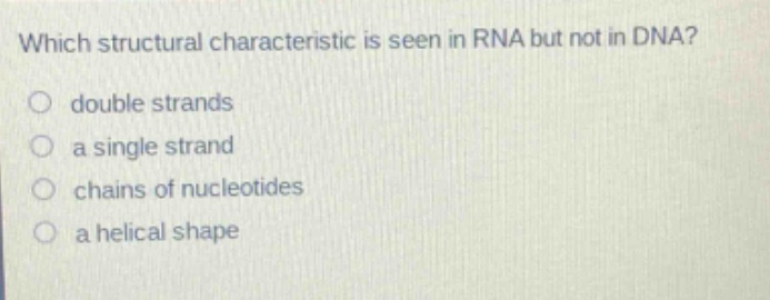 which structural characteristic is seen in rna but not in dna? double strands a single strand chains of nucleotides a helical shape