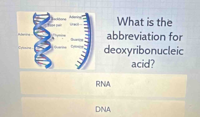 what is the abbreviation for deoxyribonucleic acid? rna dna