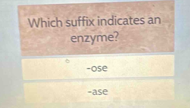 which suffix indicates an enzyme? -ose -ase