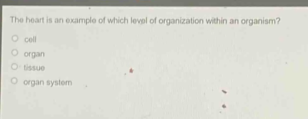 the heart is an example of which level of organization within an organism? cell organ tissue organ system