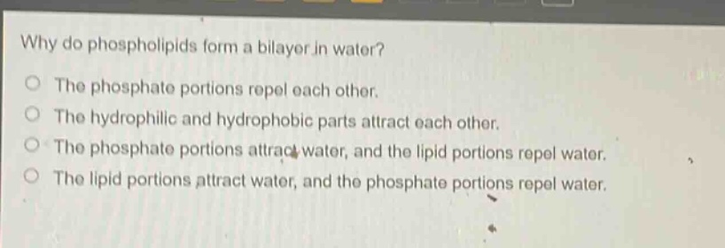 why do phospholipids form a bilayer in water?\nthe phosphate portions repel each other.\nthe hydrophilic and hydrophobic parts attract each other.\nthe phosphate portions attract water, and the lipid portions repel water.\nthe lipid portions attract water, and the phosphate portions repel water.