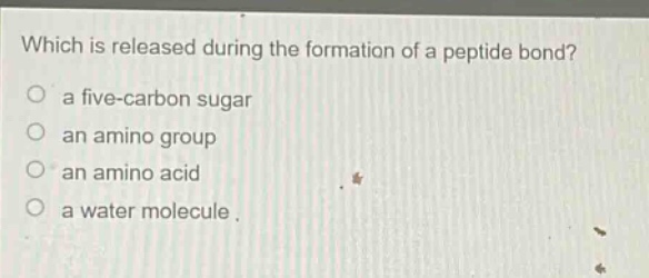which is released during the formation of a peptide bond?\n a five - carbon sugar\n an amino group\n an amino acid\n a water molecule