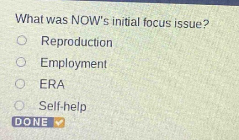 what was nows initial focus issue?\nreproduction\nemployment\nera\nself - help