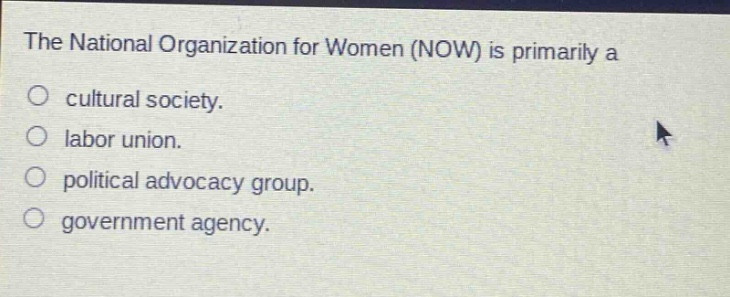 the national organization for women (now) is primarily a\no cultural society.\no labor union.\no political advocacy group.\no government agency.