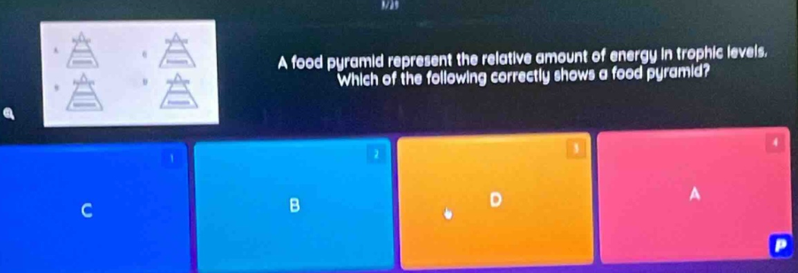 a food pyramid represent the relative amount of energy in trophic levels. which of the following correctly shows a food pyramid?