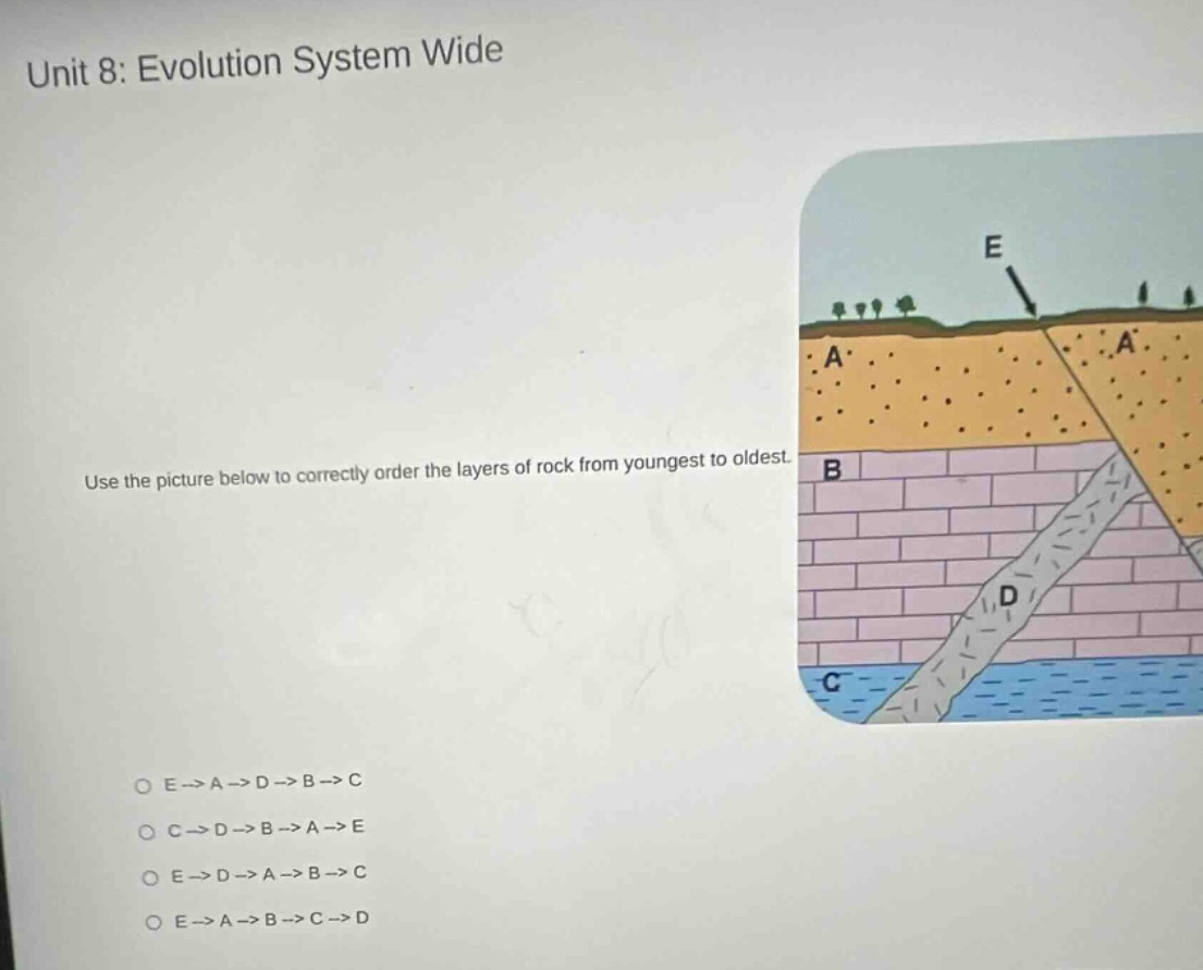 unit 8: evolution system wide use the picture below to correctly order the layers of rock from youngest to oldest. o e→a→d→b→c o c→d→b→a→e o e→d→a→b→c o e→a→b→c→d