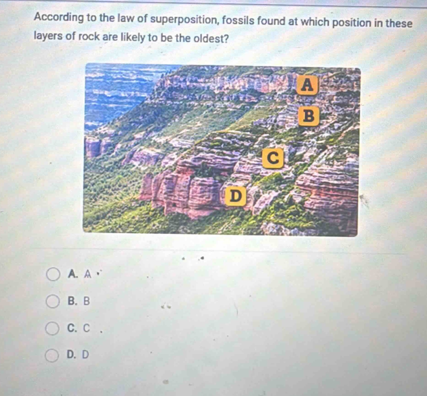 according to the law of superposition, fossils found at which position in these layers of rock are likely to be the oldest? a. a b. b c. c d. d