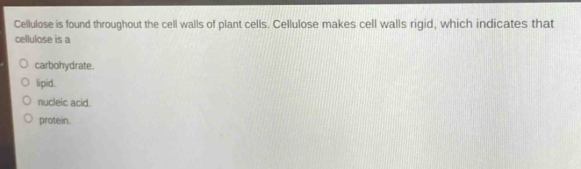 cellulose is found throughout the cell walls of plant cells. cellulose makes cell walls rigid, which indicates that cellulose is a\no carbohydrate.\no lipid.\no nucleic acid.\no protein.