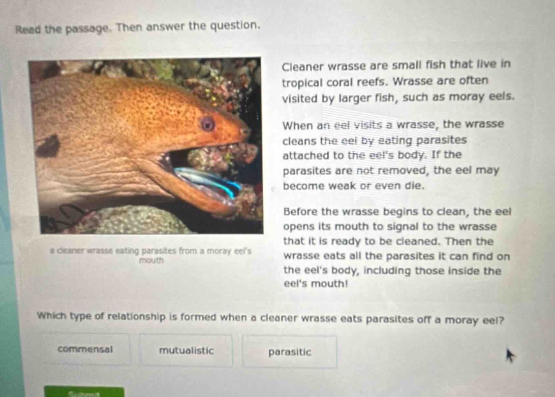 read the passage. then answer the question. cleaner wrasse are small fish that live in tropical coral reefs. wrasse are often visited by larger fish, such as moray eels. when an eel visits a wrasse, the wrasse cleans the eel by eating parasites attached to the eels body. if the parasites are not removed, the eel may become weak or even die. before the wrasse begins to clean, the eel opens its mouth to signal to the wrasse that it is ready to be cleaned. then the wrasse eats all the parasites it can find on the eels body, including those inside the eels mouth! which type of relationship is formed when a cleaner wrasse eats parasites off a moray eel? commensal mutualistic parasitic