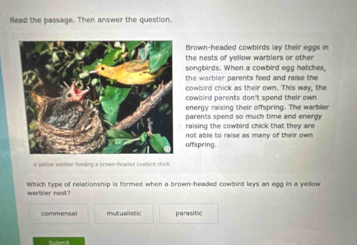 read the passage. then answer the question. brown - headed cowbirds lay their eggs in the nests of yellow warblers or other songbirds. when a cowbird egg hatches, the warbler parents feed and raise the cowbird chick as their own. this way, the cowbird parents dont spend their own energy raising their offspring. the warbler parents spend so much time and energy raising the cowbird chick that they are not able to raise as many of their own offspring. a yellow warbler feeding a brown - headed cowbird chick which type of relationship is formed when a brown - headed cowbird lays an egg in a yellow warbler nest? commensal mutualistic parasitic