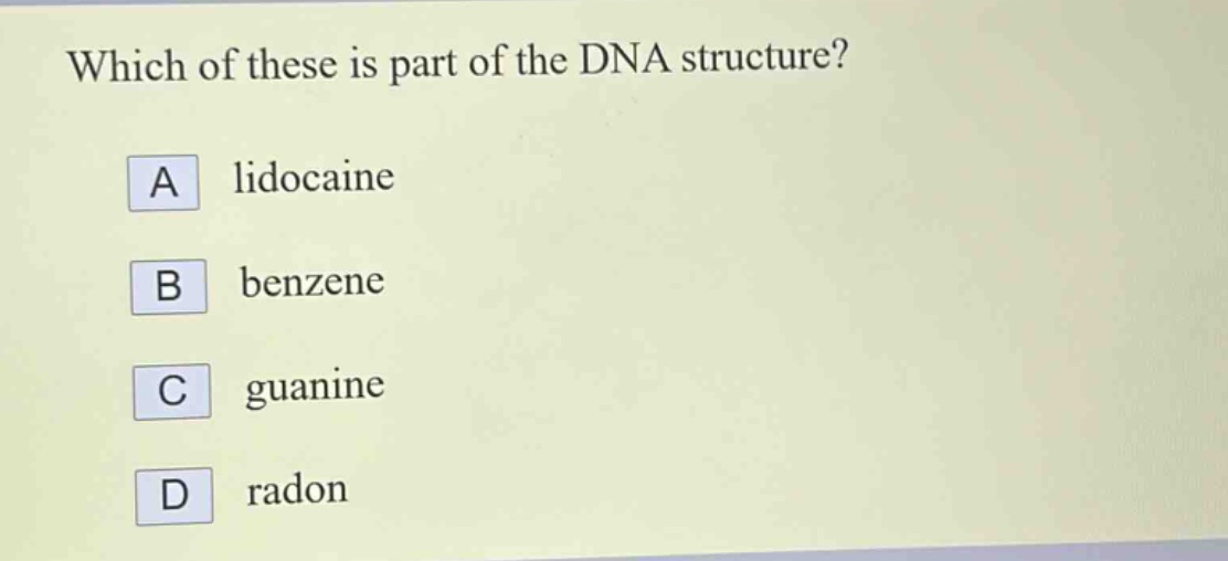 which of these is part of the dna structure? a lidocaine b benzene c guanine d radon
