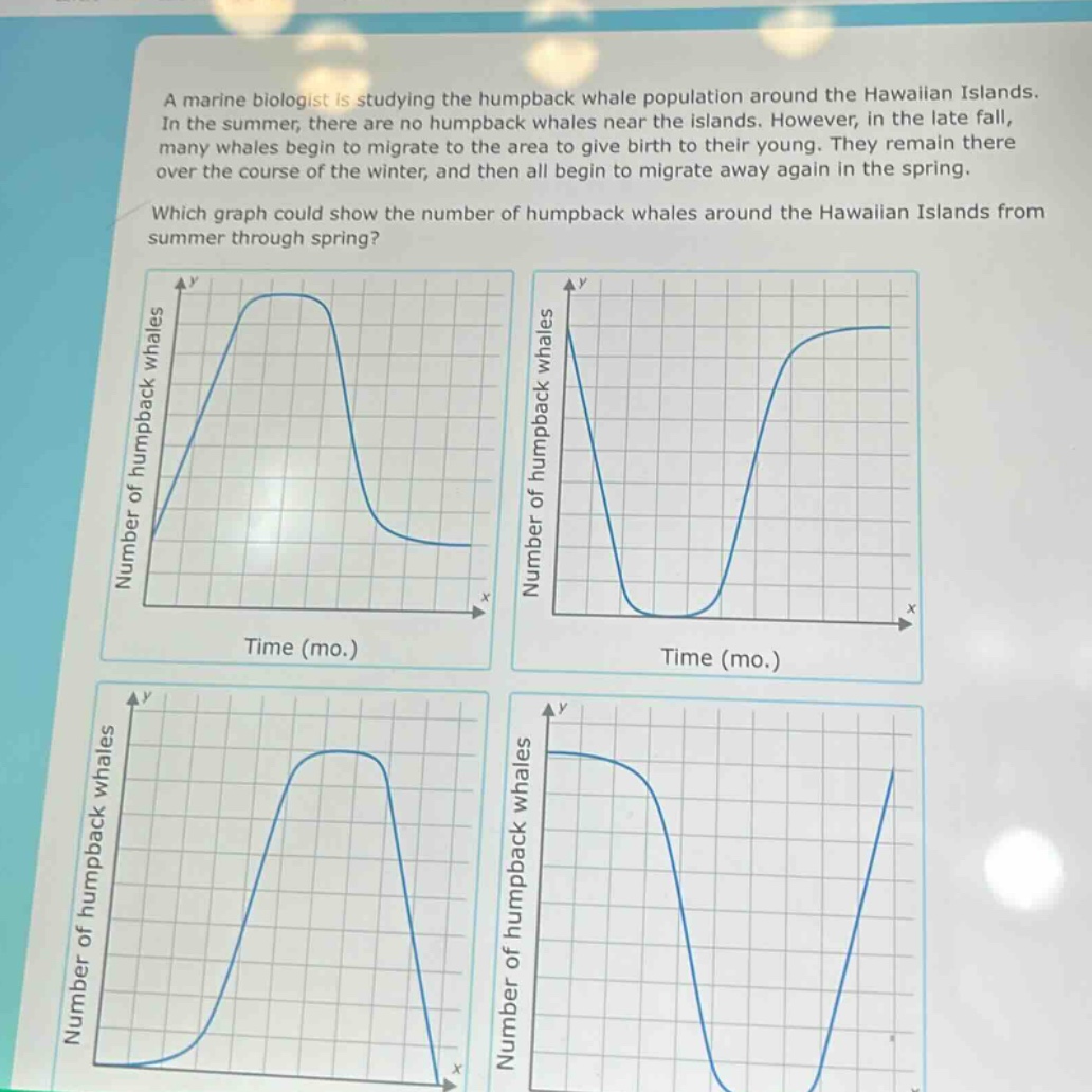 a marine biologist is studying the humpback whale population around the hawaiian islands. in the summer, there are no humpback whales near the islands. however, in the late fall, many whales begin to migrate to the area to give birth to their young. they remain there over the course of the winter, and then all begin to migrate away again in the spring. which graph could show the number of humpback whales around the hawaiian islands from summer through spring?