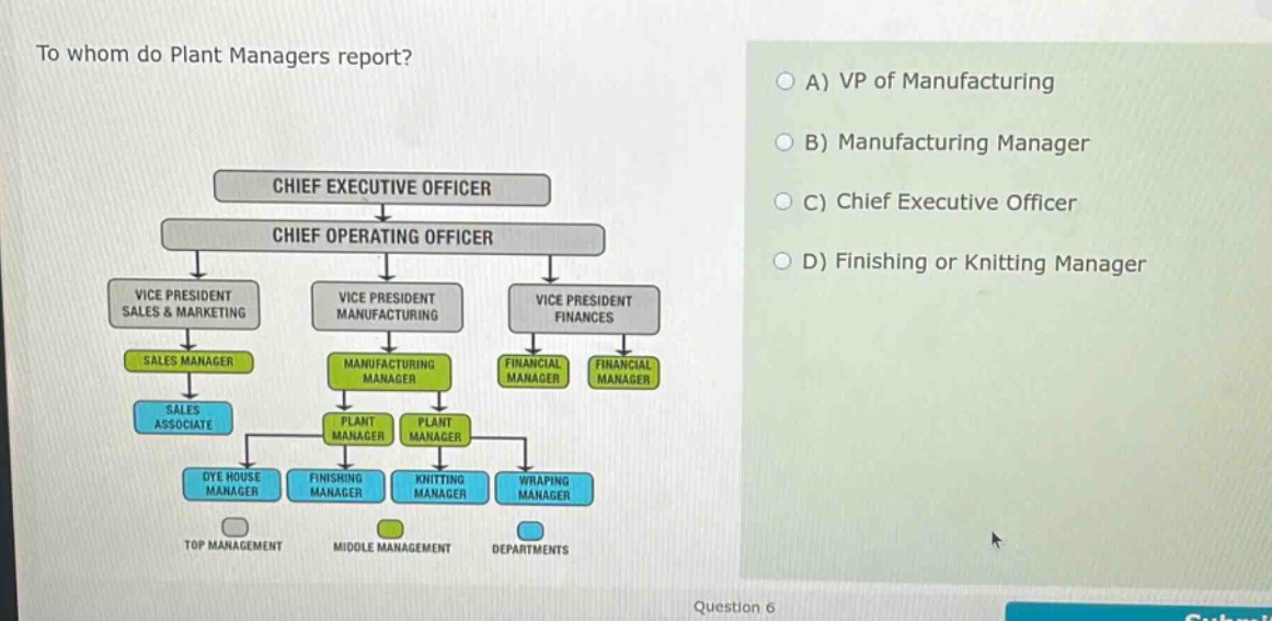 to whom do plant managers report? a) vp of manufacturing b) manufacturing manager c) chief executive officer d) finishing or knitting manager