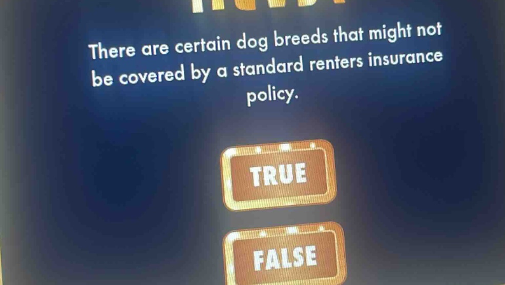 there are certain dog breeds that might not be covered by a standard renters insurance policy. true false