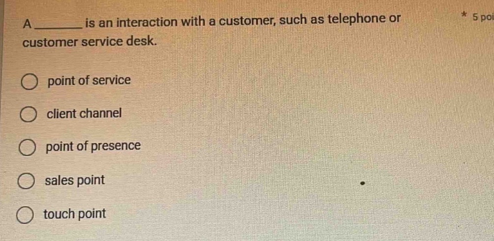 a ______ is an interaction with a customer, such as telephone or customer service desk. point of service client channel point of presence sales point touch point